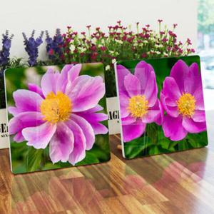 아트박스/꾸밈 da250-폼아크릴액자18CmX18CmX2ea_분홍빛모란꽃