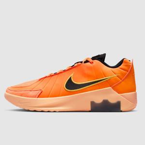 나이키 르브론 위트니스 IX EP 신발 DD4 HQ8035 800