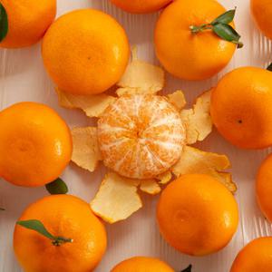 갓 수확 새콤달콤 제주 서귀포 천혜향 귤 실중량 3kg(20-30과내외)