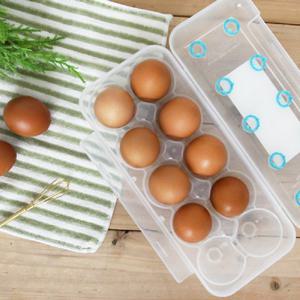 씨밀렉스 계란 신선 트레이 10구 달걀트레이 계란보관용기 달걀보관용기 달걀신선보관 계란신선보관 달걀트