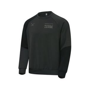 다이나핏 SKIMO (스키모) 남성 기모 맨투맨_Stone YMW25253Z2 302541