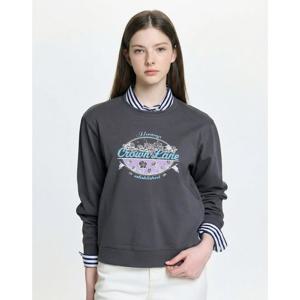 헤지스 여성 26SS 10%가격인하그래픽 맨투맨 차콜그레이 HSTS6A202CG