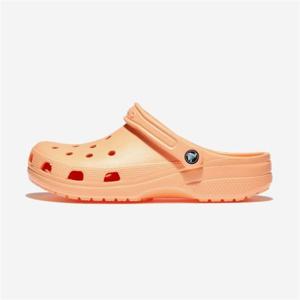 크록스 클래식 클로그 - ELECTRIC SUNSTONE CRS10001 321657 (CRS10001)