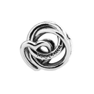 패밀리 올웨이즈 인서클드 하트 참 Always Together 791507C00