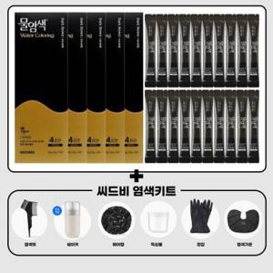 씨드비 프리미엄 물염색 시즌2 내추럴 블랙 20회분+염색도구 비건 새치 커버 홈쇼핑 김혜수 셀프