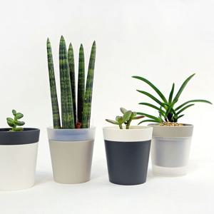 플라팜 새싹 미니화분 원형화분 36개 세트 플라스틱화분