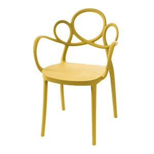 A9371 플라스틱 팔걸이 의자