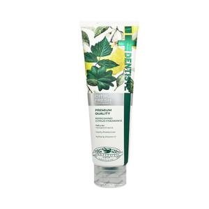 덴티스테 시트러스 후레쉬 치약 200g 1개(SH)