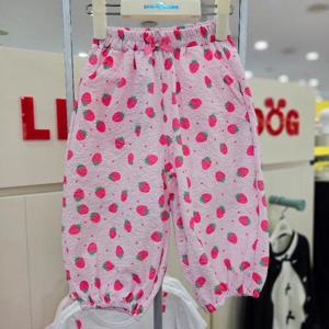 리틀밥독 sh06 딸기통통PT H262MWP22