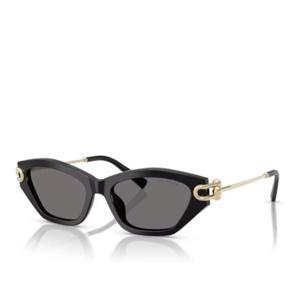 티파니앤코 캣아이 메탈 힌지 선글라스 4231U SOLE 800181 53