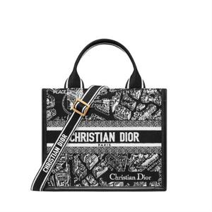 디올 북 토트 백 스몰 M1325CETJ_M46I