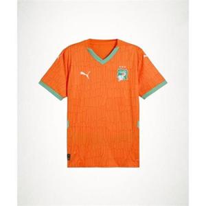 푸마 아이보리코스트 25 홈 저지 레플리카 777187-01 1536963