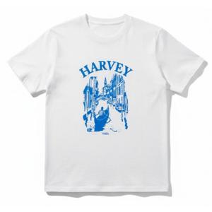 [뱅뱅]여성 ( 오늘은 이거 입징 ) 프린트 반팔 티셔츠 (NTM531)