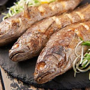 굴비 영광법성포 보리 특대 5미 참굴비 반건조 생선