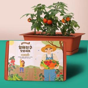 베란다텃밭 (꿈쟁이) 열매친구키우기세트(물받침대포함)