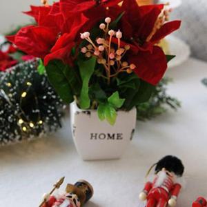 조화화분 포인트로 사용하기 좋은 포인세티아 픽 화분