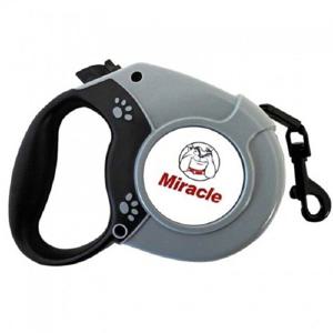 강아지리드줄 미라클 자동줄 5M 그레이