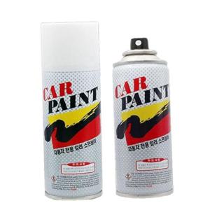 카페인트 쏘나타DN8 T2G 녹턴그레이 스프레이 락카