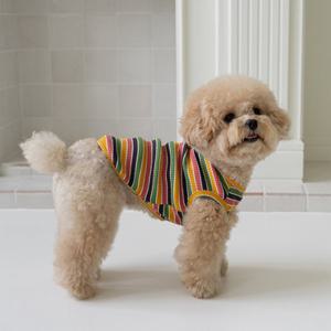 도그아이 강아지옷 애견 나시 레인보우 티셔츠 (DG419)