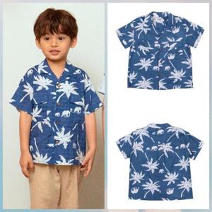 토토헤로스 HC22 마일스 셔츠 12432105031