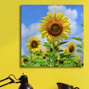 아트박스/꾸밈 pa254-아크릴액자_사랑과행복의해바라기(중형)