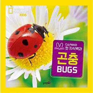 내셔널 지오그래픽 키즈 곤충(빅북) [양장]  블루래빗키즈 디스커버리