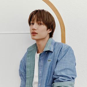 [라코스테공식] 남성 샴브레이 스트라이프 셔츠 CH357E-56G 132