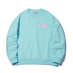 [인터크루]여성 브러쉬맨투맨 ITW1TM53ASB (스카이블루)