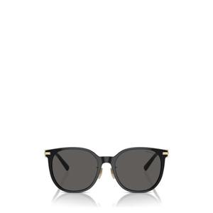 티파니앤코 선글라스 TF4224D 8001S4 BLACK