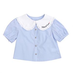 [티파니(백)]카라 배색 블루BL(T42KSB030)