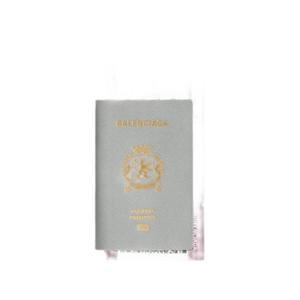 발렌시아가 패스포트 롱 월렛 1 티켓 발렌시아가 그레이 7877742AA3R1108