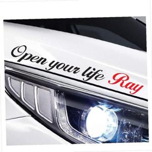 D24 레이 흘림체 슬로건 로고 데칼스티커