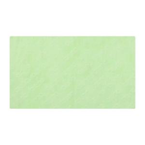 (A5AC1AX01_GRN) 공용 습식타올(소)