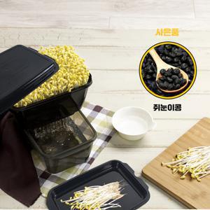 [이지앤프리][GS특가]집에서 콩나물 키우기 + 콩50g 증정