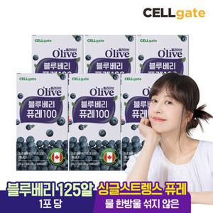 셀게이트 올라이브 프리미엄 블루베리 퓨레 100 스틱 14포 x 6박스