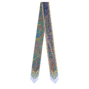 에트로 머플러 스카프 WATA0015 AK622X0891 Multicolor