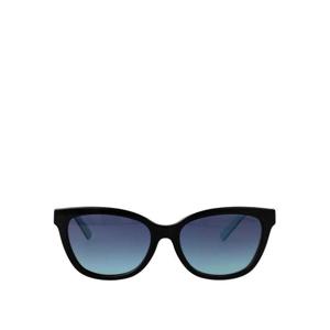 티파니앤코 선글라스 0TF4237B80019S Black