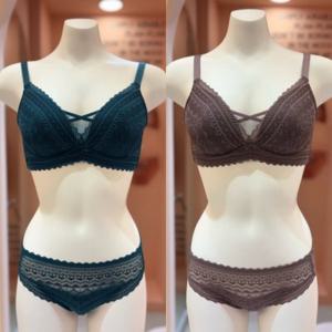 비너스 란제리 (E컵F컵)전중심 더블 코르셋 모아주는 더블윙 보정 몰드 브래지어+레이스 팬티 (VBRG620E_F VPTG620S) VBRPTG620E