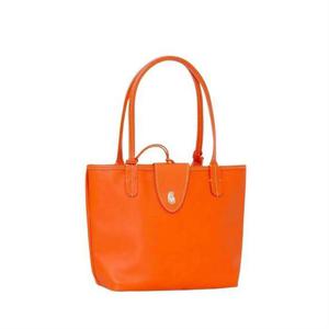 (명품) 고야드 앙주 미니 백 ANJCROMINCG07