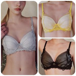 비너스 란제리 오르화 C.D컵 얇은직조패드 보타닉 엣지 포인트 브라 OBR5935CD OBR5935CD000