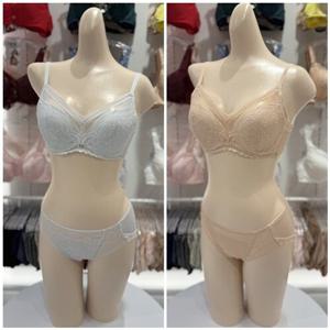 비너스 란제리 (VBR9001E F+VPT9001A) 25AW 가벼운 착용감 애쉬메모리 사이드업 브래지어 모달 레이스팬티 SET VBR9001EF000