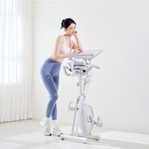 숀리 숀리 엑스바이크 E3 접이식 테이블 바이크 실내 자전거 메타 즈위프트 가정용 헬스 사이클