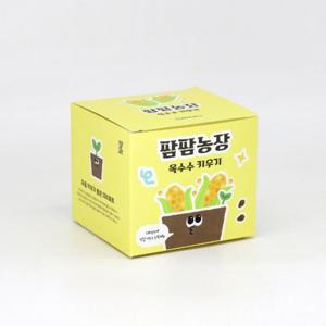 히키스 옥수수 모종 화분 식물 키우기 교육자료 유치원 어린이집 체험 미니텃밭