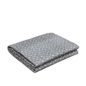 모리츠 [상급] 모리츠 작은별 전기요(더블) HL-D207