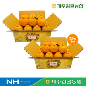 [제주감귤농협] 제철 햇 한라봉 총 7kg (3.5kg x 2박스)