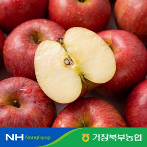 거창북부농협 특등급 사과 2.5kg+2.5kg 총 5kg 세트 (과당 250g∼300g)