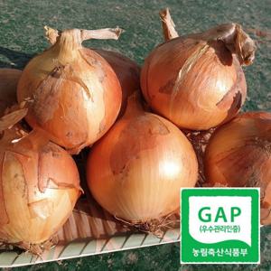 [청년농부] 양파 5kg GAP 햇양파 (중)
