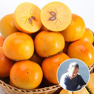 경남 창원 정명기님의 북면 단감 5kg 17-20과내