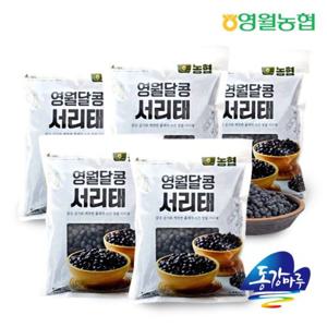 [영월농협] 동강마루 강원도 영월산 서리태 500gx5봉