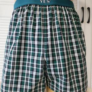 [좋은사람들](인천모다) 예스  곰돌이포인트 체크패턴  트렁크 YSMTB341GR